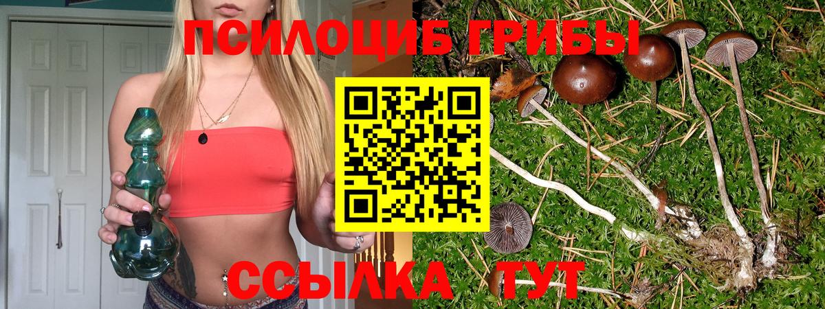 Псилоцибиновые грибы прущие грибы Прокопьевск