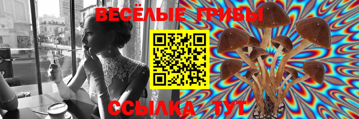 Галлюциногенные грибы Psilocybe  Вход с VPN  Прокопьевск 